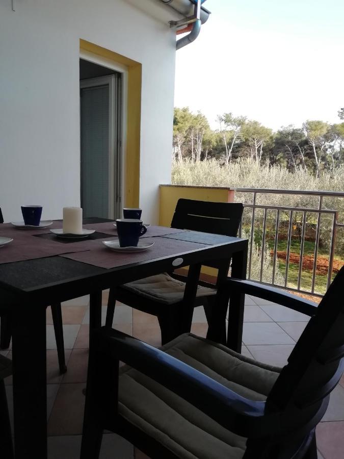 Apartman Ines Bibinje Kültér fotó